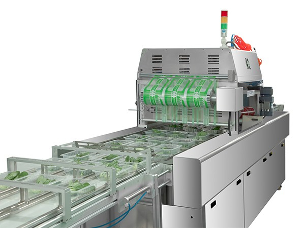 全自动式气调包装机RDW500P-G